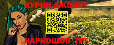 молекула духа Будённовск