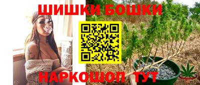 молекула духа Будённовск