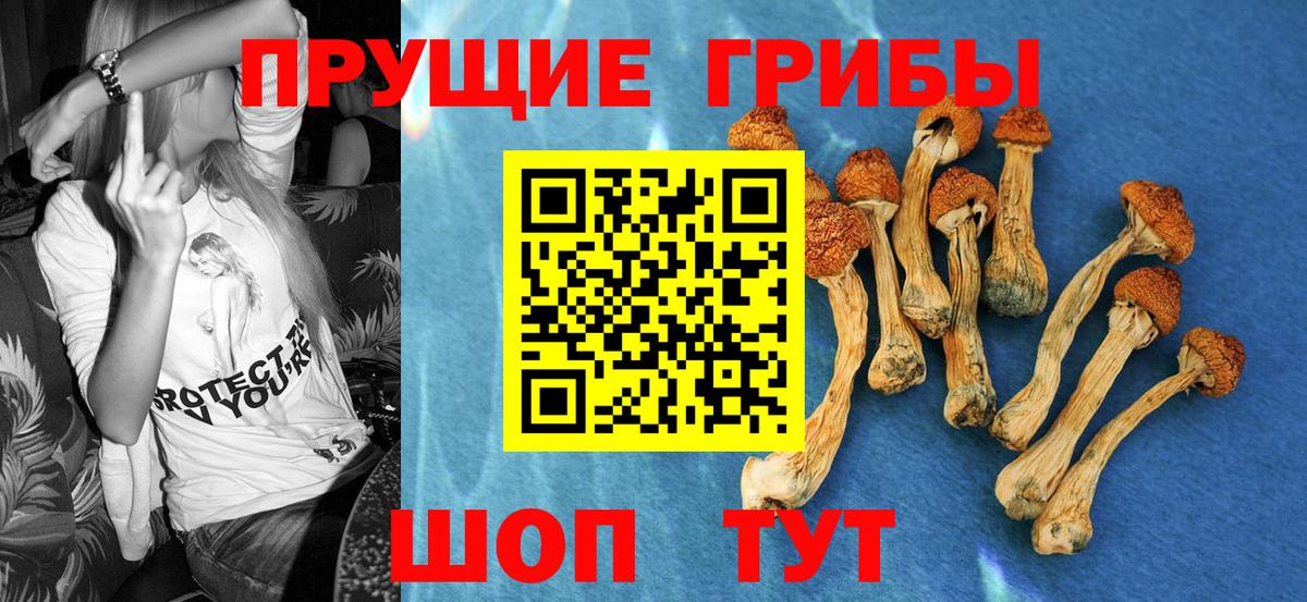 Псилоцибиновые грибы Magic Shrooms  Вход с VPN  Ярцево 
